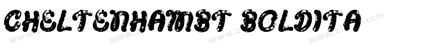 CheltenhamBT BoldIta字体转换